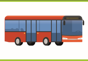 bus