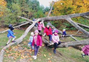 Na zdjęciu dzieci siedzą na powalonym drzewie